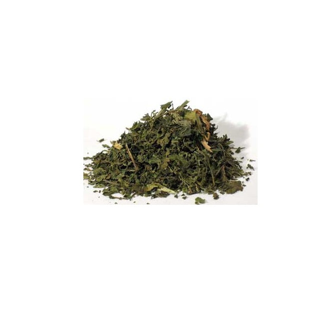 Nettle "Stinging" Leaf
