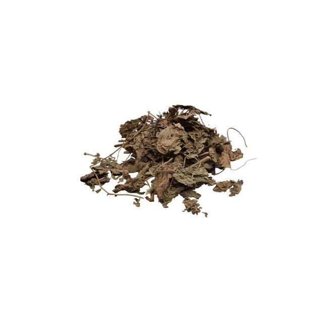 Patchouli Leaf