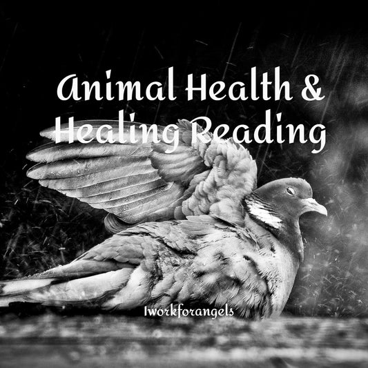 Animal Health & Healing Reading