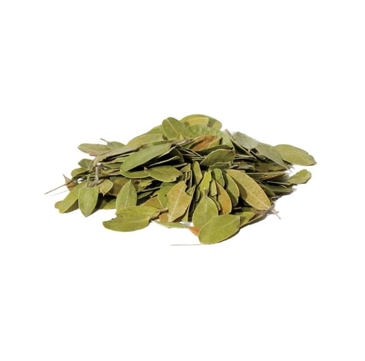 Bearberry (Uva-Ursi) 2oz