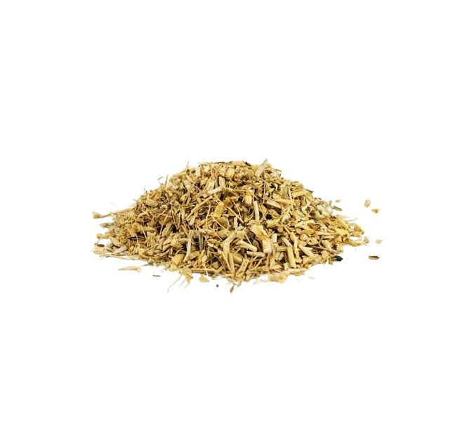 dog grass root