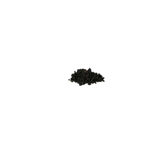 elderberry