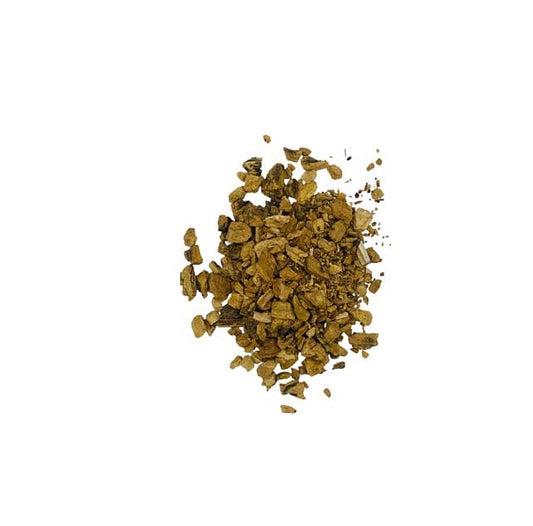 Gentian Root Cut