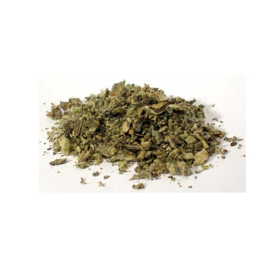 Mullein Leaf 