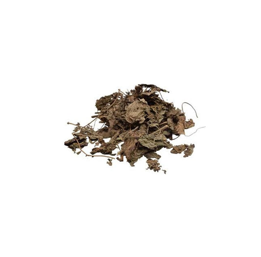 Patchouli Leaf 