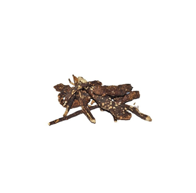 Osha Root whole