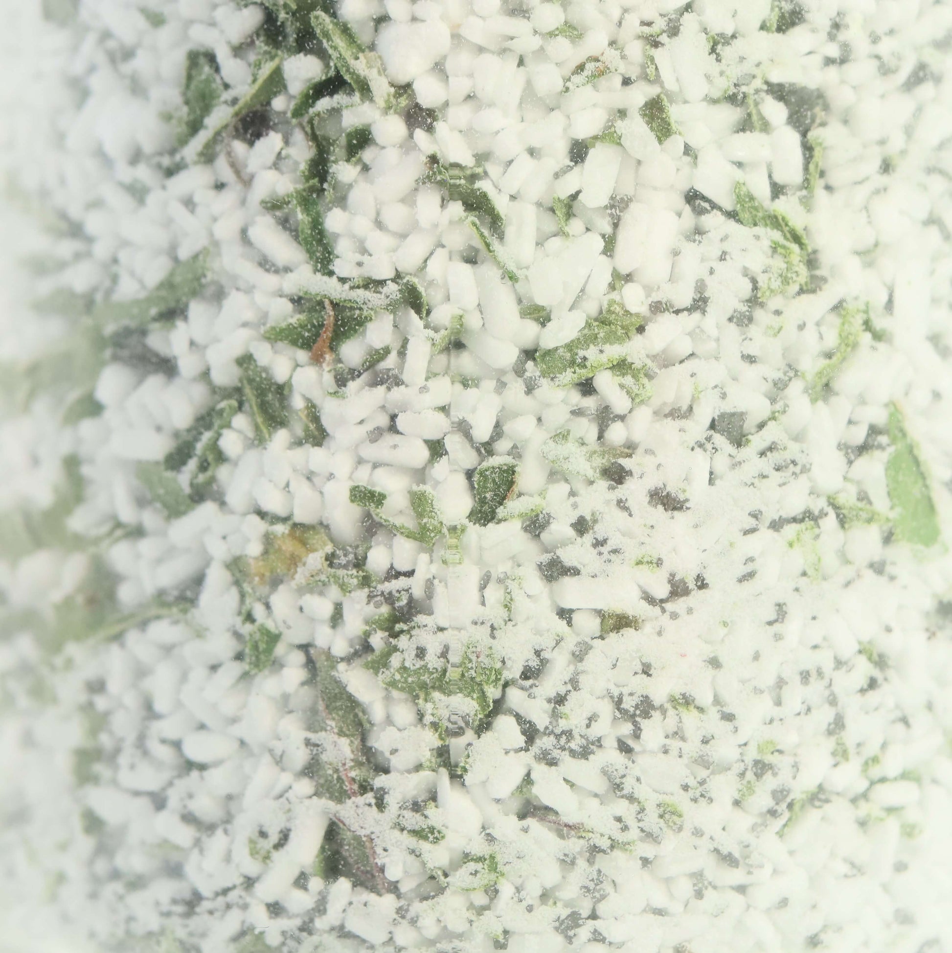 up close photo of foot soak