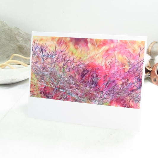 Bronze Fennel Cards