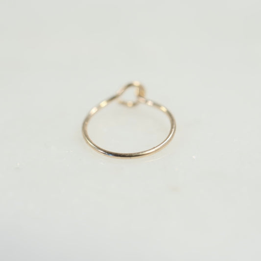 gold 24g nose ring