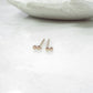 double dot post earrings