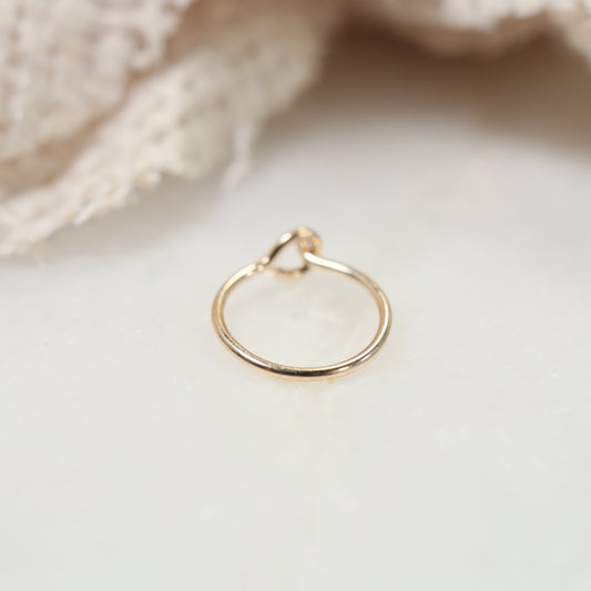 gold plain hook nose ring