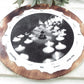 6.5" Wooden Pendulum Board