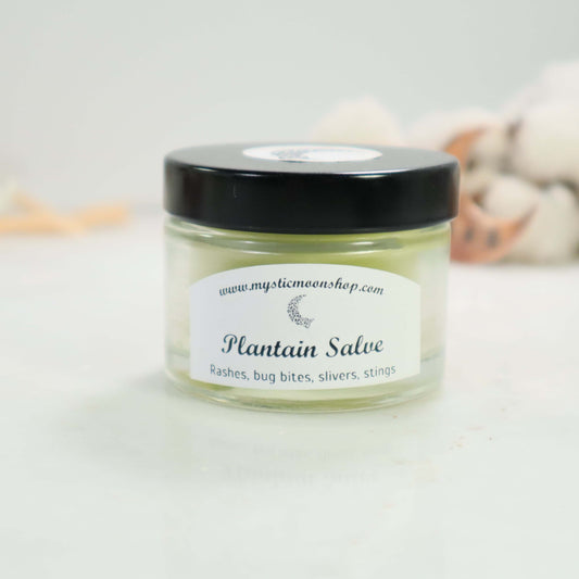 Plantain Salve 2 oz