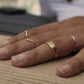 hammered ring model