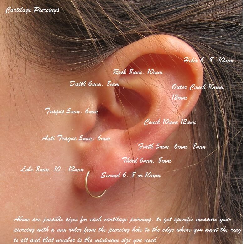 size chart for gold star tragus